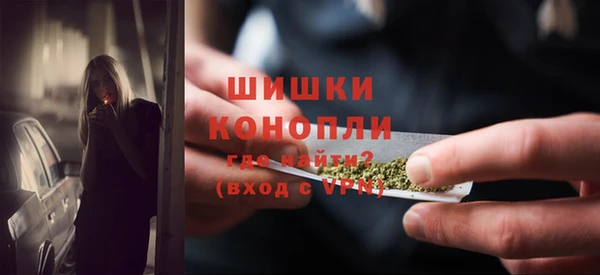 гидропоника Елабуга