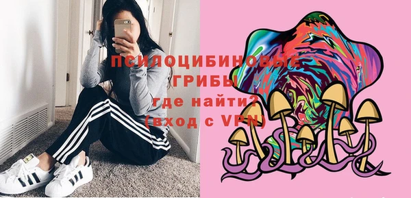 МДМА Ельня