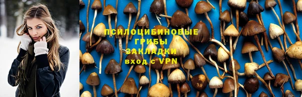 МДМА Ельня