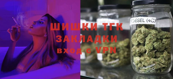 гидропоника Елабуга