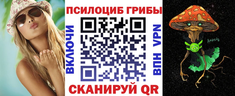 Купить где  Белинский  Псилоцибиновые грибы прущие грибы 